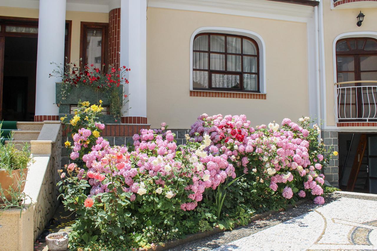 Vila Topciu Pogradec Buitenkant foto